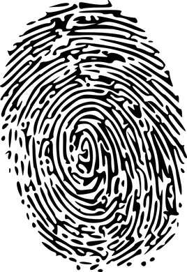 Kriminalistik II